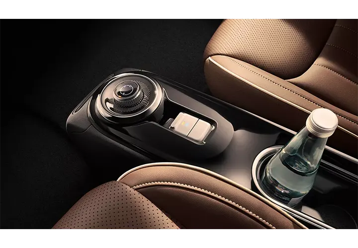 Distinctive-Rotary-Gear-Selector-InteriorBinguoev.webp
