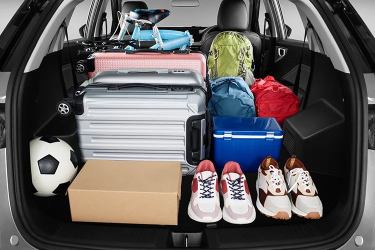 Practical-Up-to-625L-InteriorNewAlvez.webp