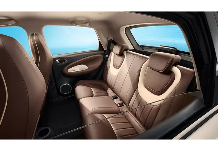 Synthetic-Leather-Seat-InteriorBinguoev.webp